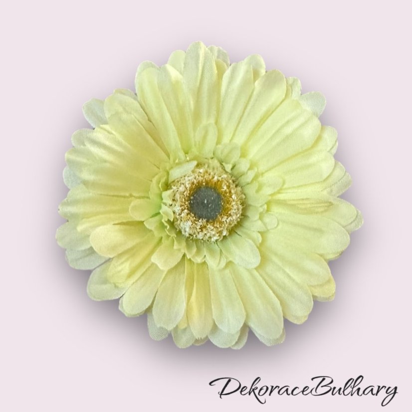 Gerbera Sv. zelená