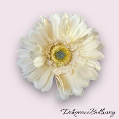 Gerbera běžová