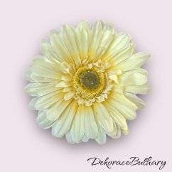 Gerbera Vanilka