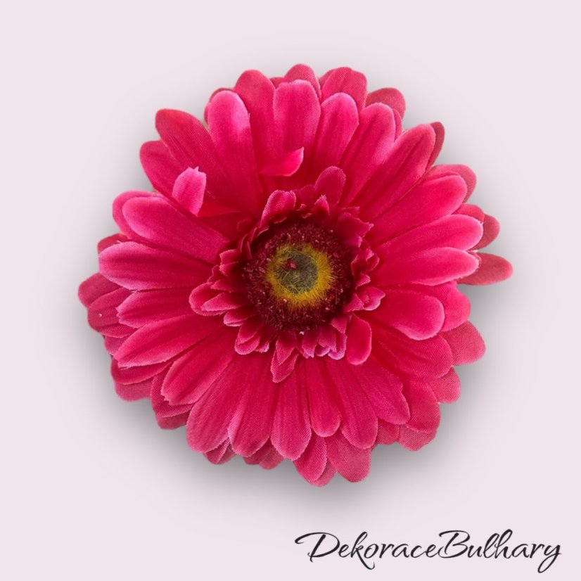 Gerbera růžová