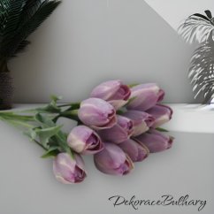 Tulipán světle fialový
