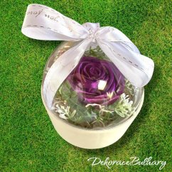 Bublinka - saténová růže - Tmavá Plum