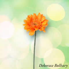Gerbera 45 cm oranžová