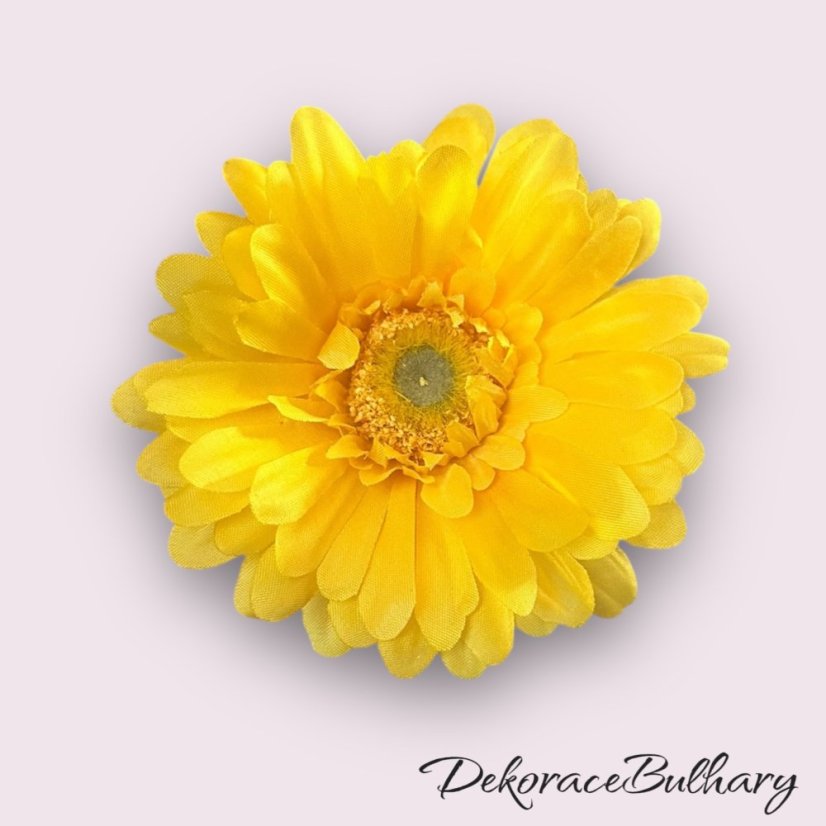 Gerbera žlutá