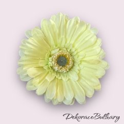 Gerbera Sv. zelená