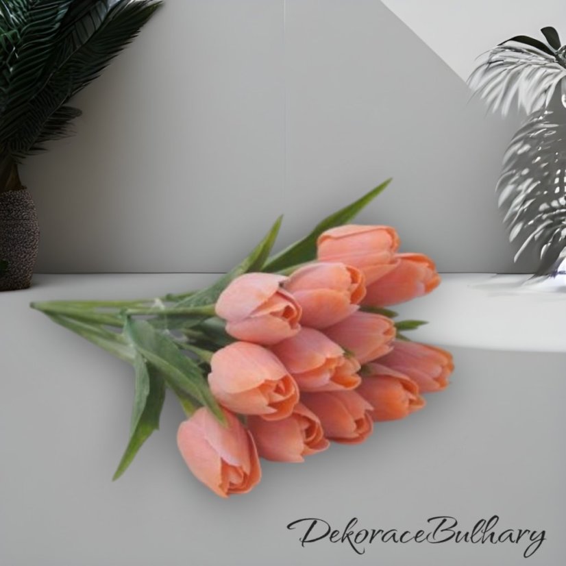 Tulipán růžový jemně