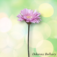 Gerbera 45 cm Růžová