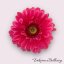 Gerbera růžová